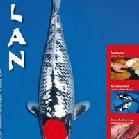Koi Magazin - KLAN - vor 2013