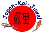 Japan Koi Juwel