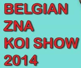 Belgian ZNA Koi Show