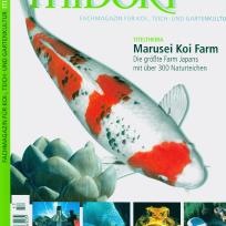 MIDORI - Garten und Koi Magazin