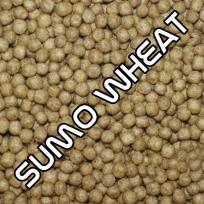 Sumo Wheat, Medium, 2,5kg Box
