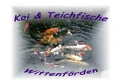 19073 Wittenförden - Koi und Teichfische
