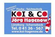 21379 Scharnebeck - Koi & Co. Jörg Hagenow