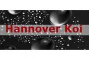 30539 Hannover - Hannover-Koi