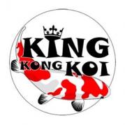 57413 Finnentrop - King Kong Koi