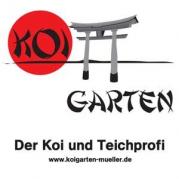88605 Messkirch - Koi Garten