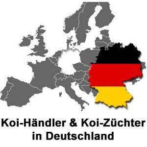 Koi-Händler und Koi-Züchter in Deutschland