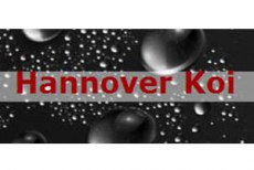 Hannover Koi