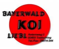 Bayerwald Koi Liebl
