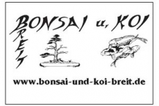Bonsai und Koi Breit
